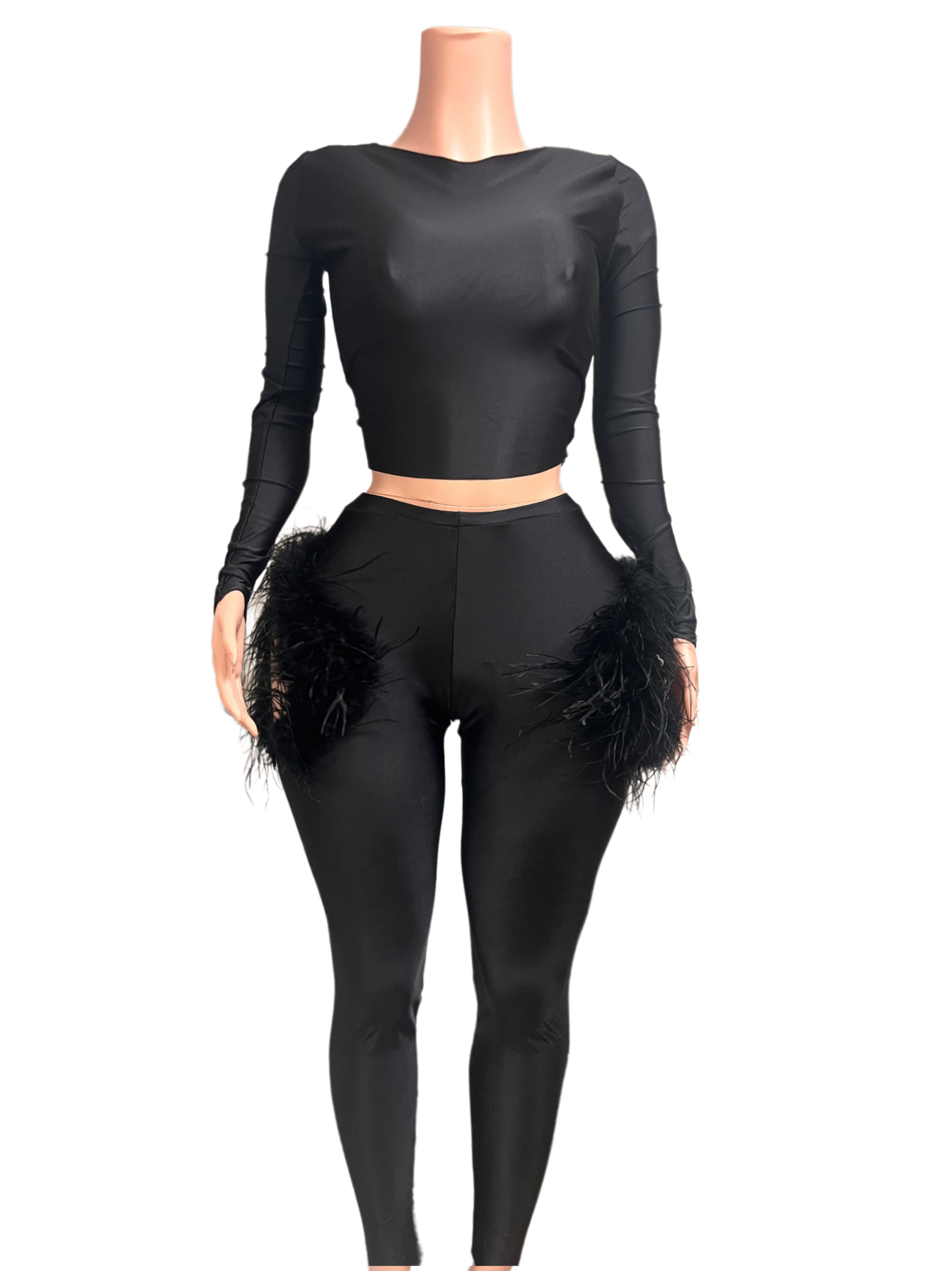Swan Pant set